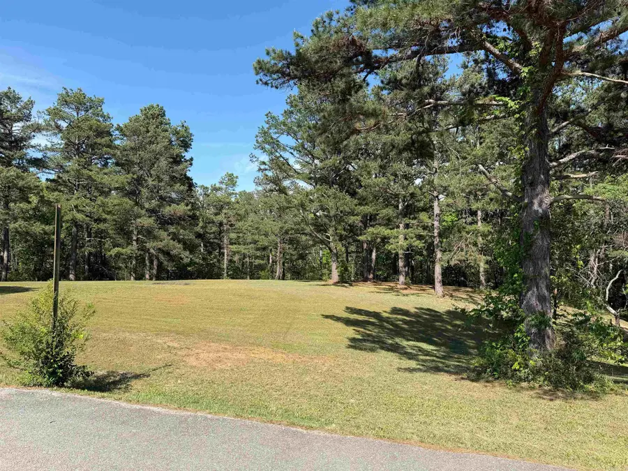 Lot 27 & 28 Tournament Dr., Mountain View, AR 72560 - #2