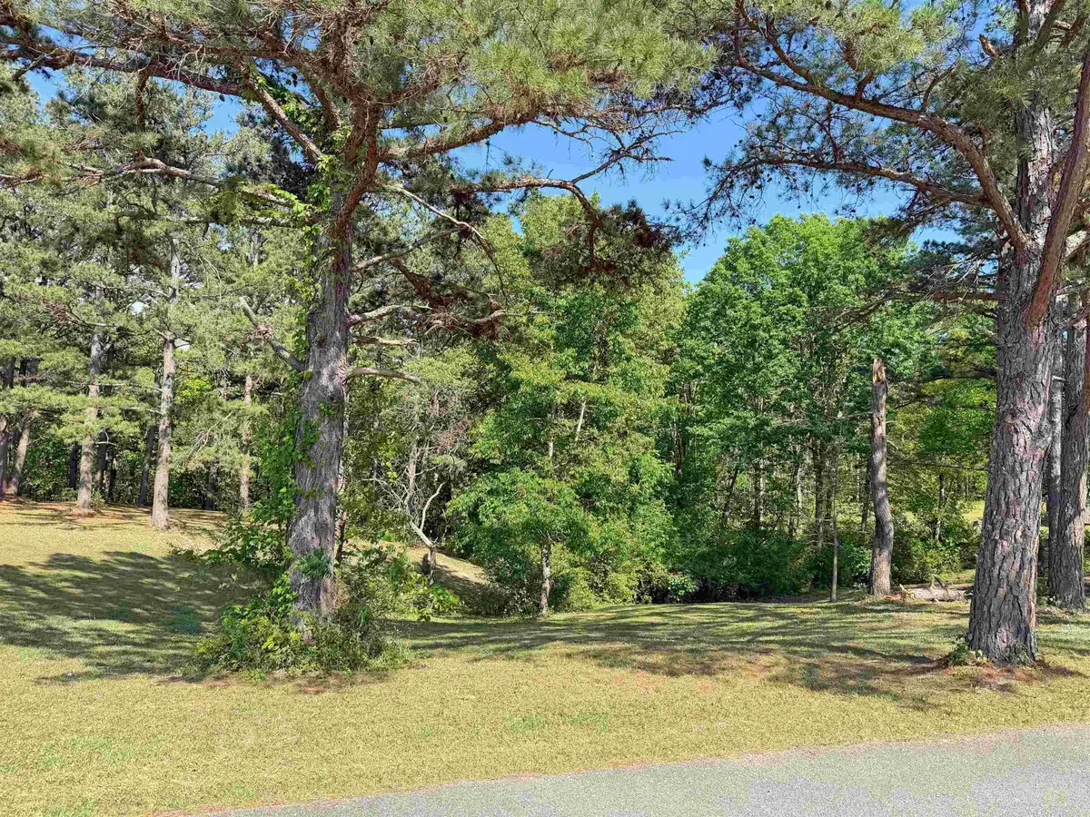 Lot 26 Tournament Dr., Mountain View, AR 72560 - #1