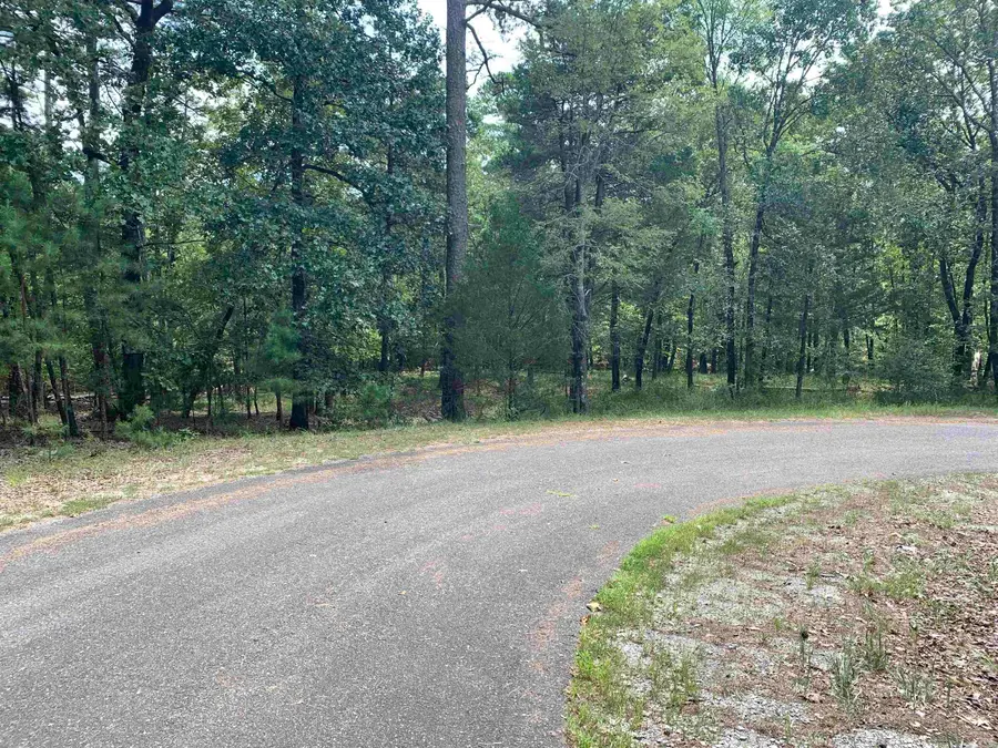 4 Ermalinda Lane, Hot Springs Village, AR 71909 - #3