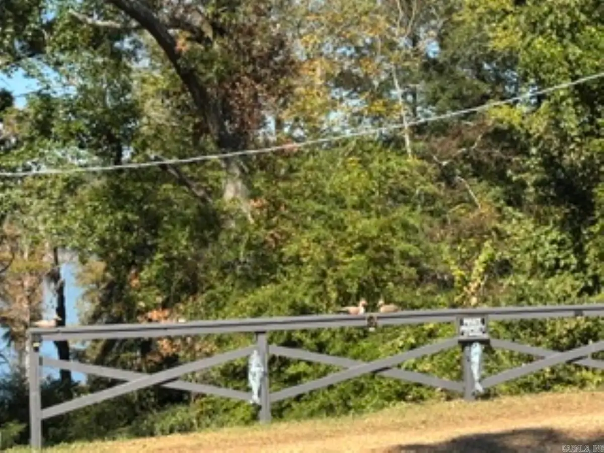 Lot On Ouachita 387, Chidester, AR 71726 - #1