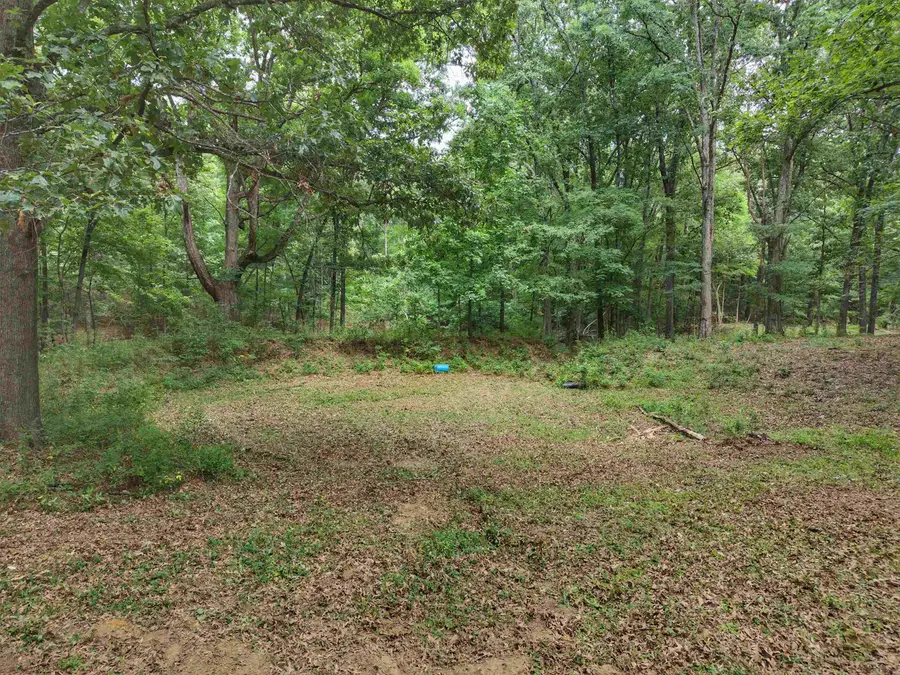 810 Rorex Drive, Harrisburg, AR 72432 - #3