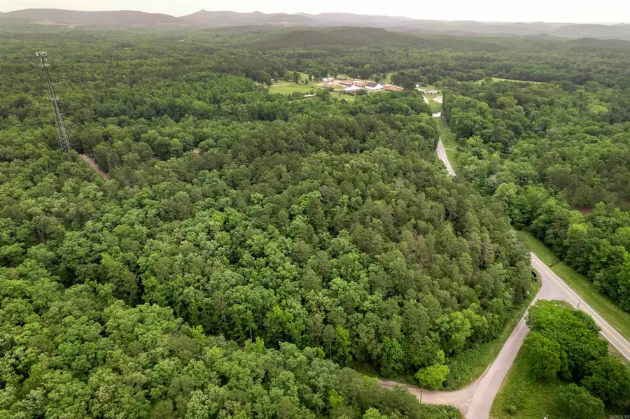 000 Highway 9, Paron, AR 72122 - #3