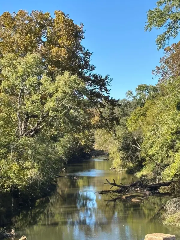Hwy 115, Smithville, AR 72466