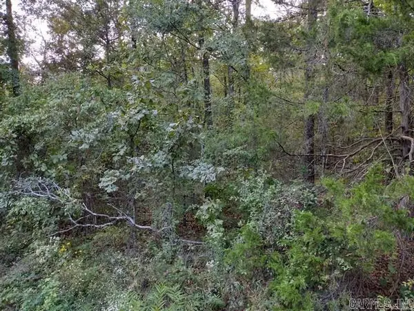 55 Atrayente Way, Hot Springs Village, AR 71909