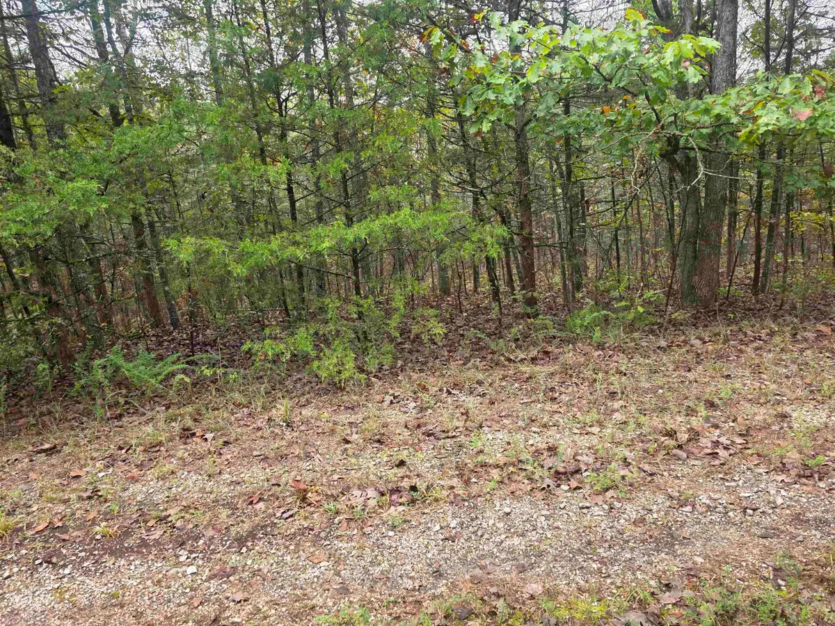 L-9, B-3 Yunsawi Trace, Cherokee Village, AR 72529 - #1