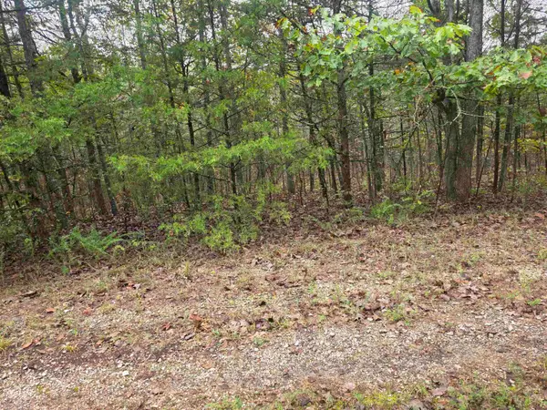 L-9, B-3 Yunsawi Trace, Cherokee Village, AR 72529