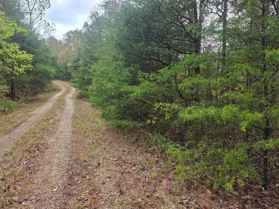 L-9, B-3 Yunsawi Trace, Cherokee Village, AR 72529 - #2