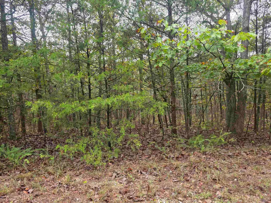L-9, B-3 Yunsawi Trace, Cherokee Village, AR 72529 - #3