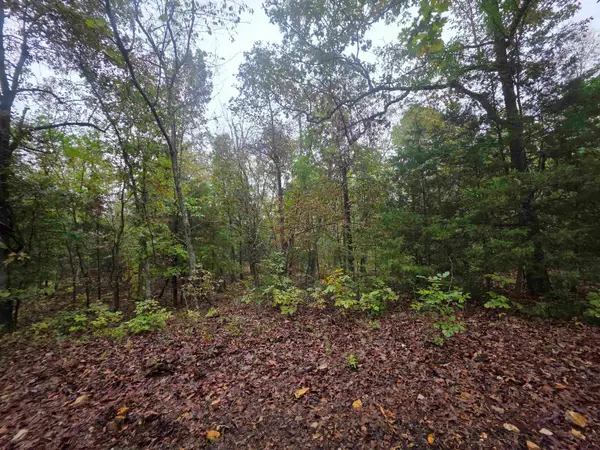 L-7, B-4 Olustee Drive, Cherokee Village, AR 72529
