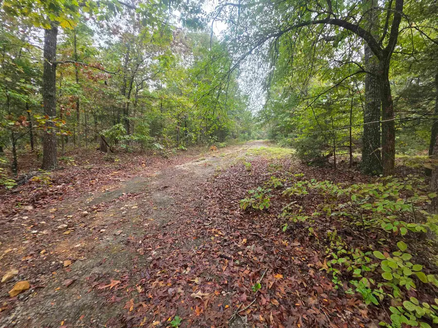 L-7, B-4 Olustee Drive, Cherokee Village, AR 72529 - #3