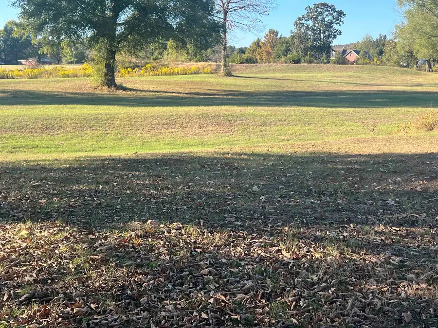 580 Highway 213, Hattieville, AR 72063 - #3