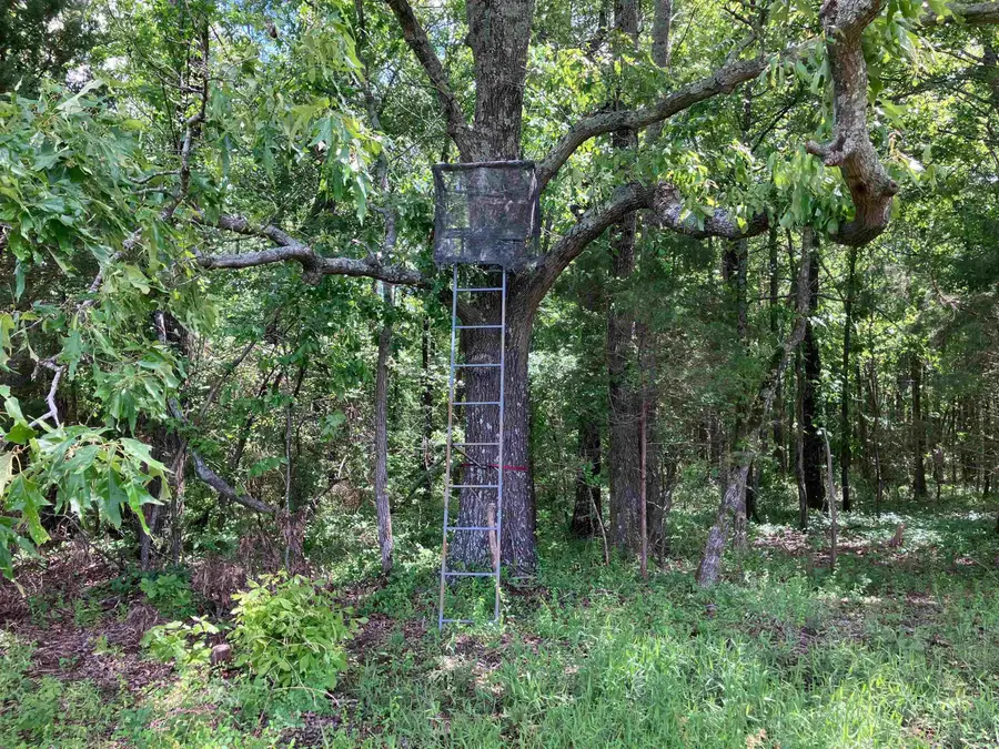 001 Hwy 167, Bradford, AR 72020 - #2