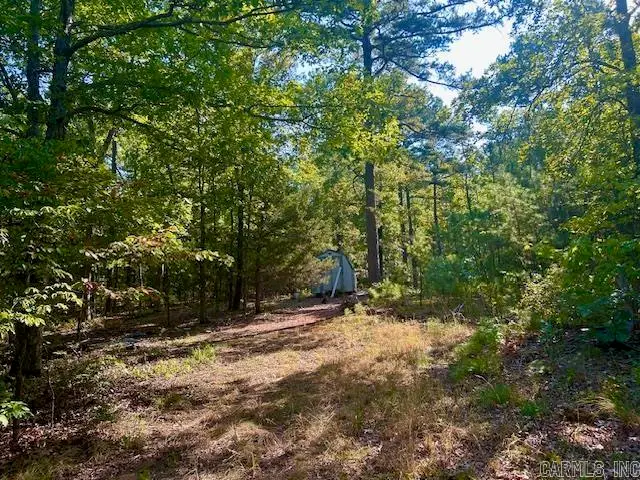 825 Piney Road, Shirley, AR 72153 - #1