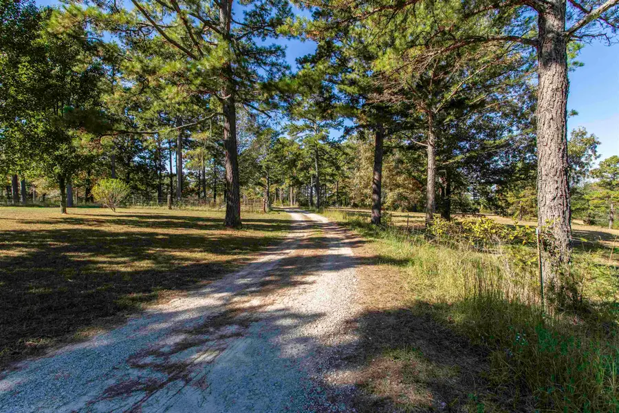 3017 Ar 289 Highway, Sage, AR 72573 - #3