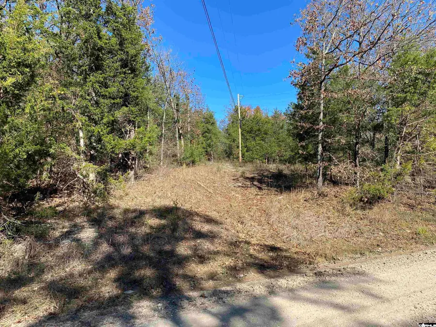 00 Railroad Lane, Summit, AR 72677 - #2