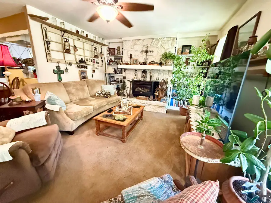 1316 Edgewater Road, Horseshoe Bend, AR 72512 - #3