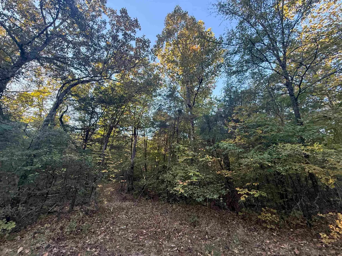 TBD 56 Highway, Poughkeepsie, AR 72569 - #1