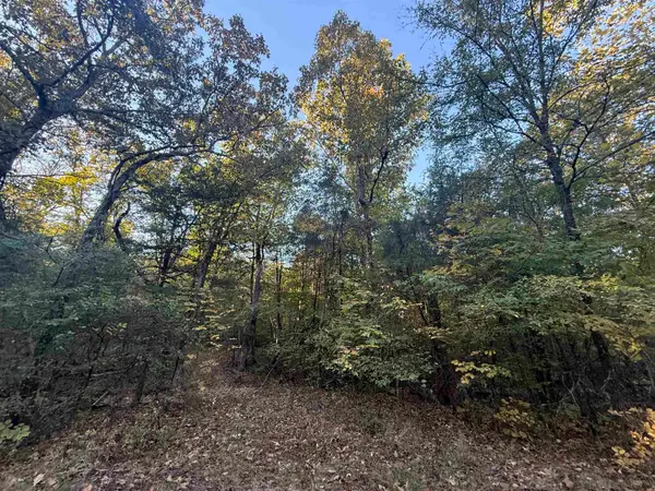 TBD 56 Highway, Poughkeepsie, AR 72569