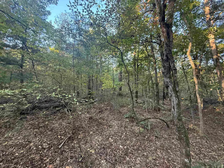 TBD 56 Highway, Poughkeepsie, AR 72569 - #3