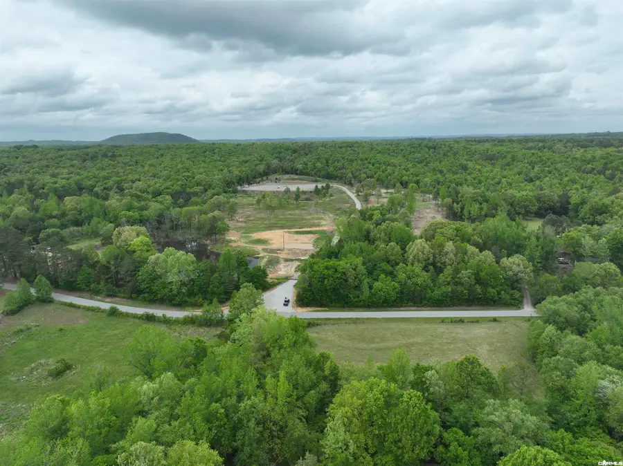 195 Old Springfield Dr, Quitman, AR 72131 - #2