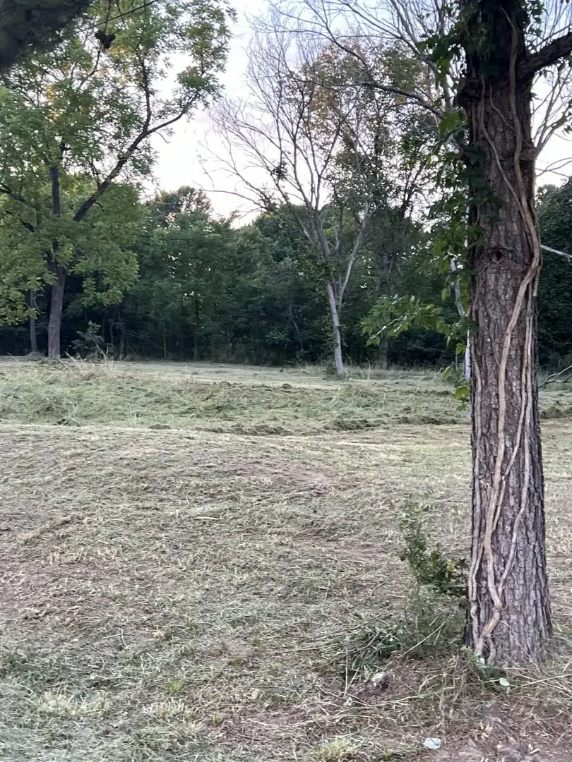 1203 Knob Creek Road, Melbourne, AR 72556 - #3