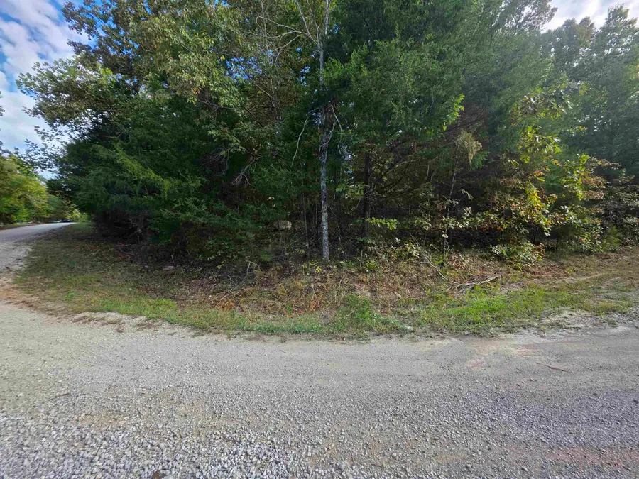 905 E Bambi Lane, Horseshoe Bend, AR 72512 - #2