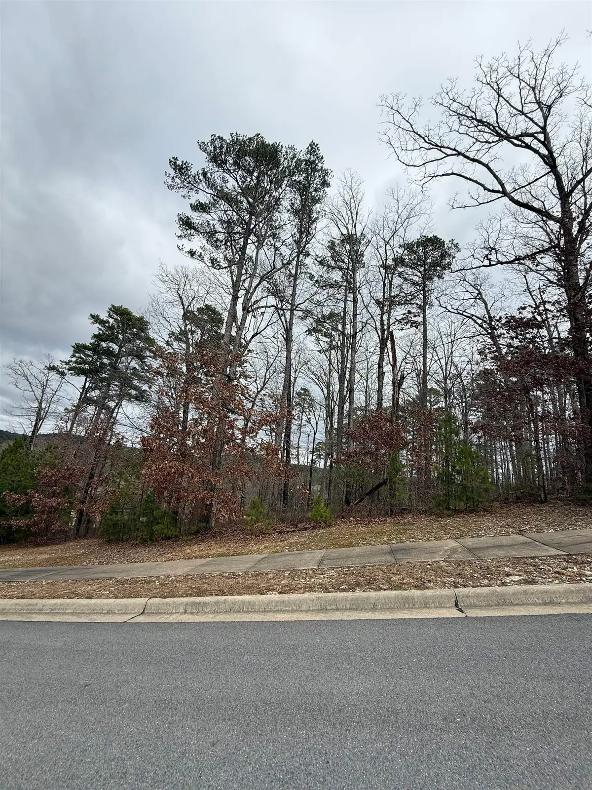 11 Accadia Ct, Little Rock, AR 72223 - #1