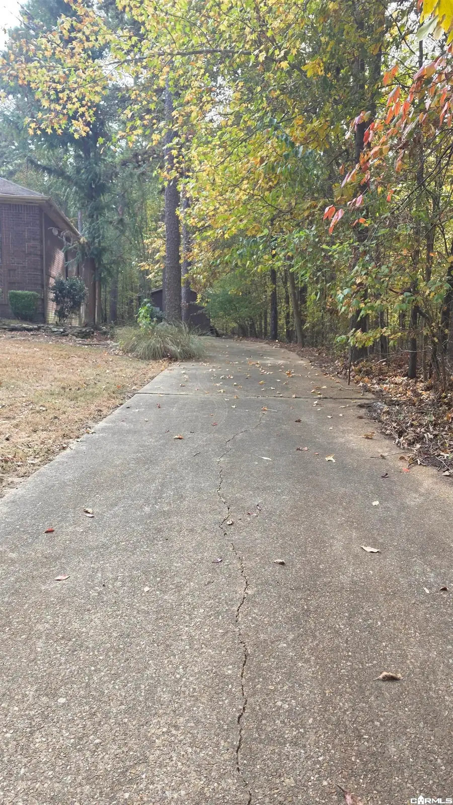 7304 Pine Dr, Paragould, AR 72450 - #2