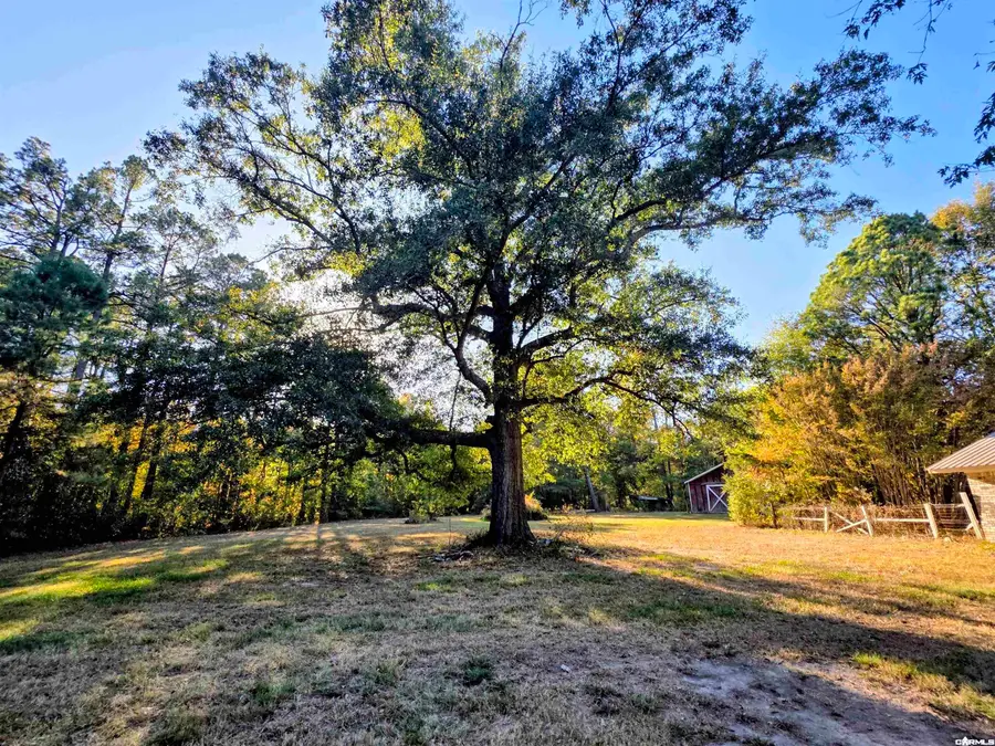 130 Rushing Road, Rison, AR 71665 - #3