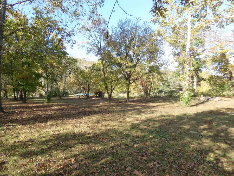 TBD Saddler Falls Road, Mammoth Spring, AR 72554 - #2