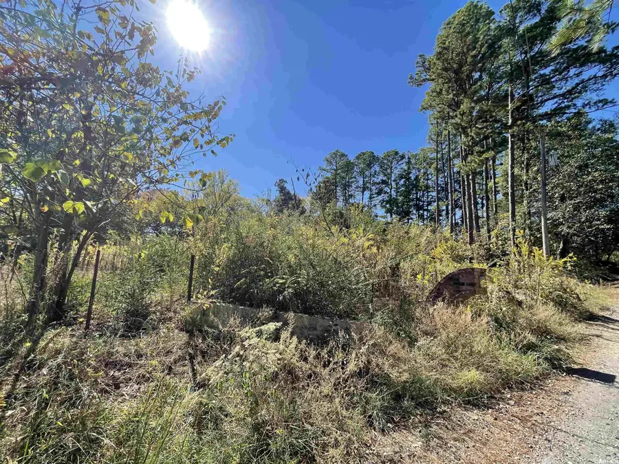 114 Hillcrest Lane, Mena, AR 71953 - #3