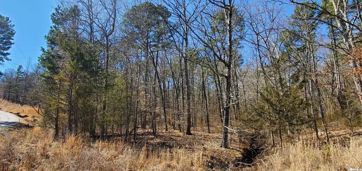Deer Run & Woodlawn, Fairfield Bay, AR 72088 - #1