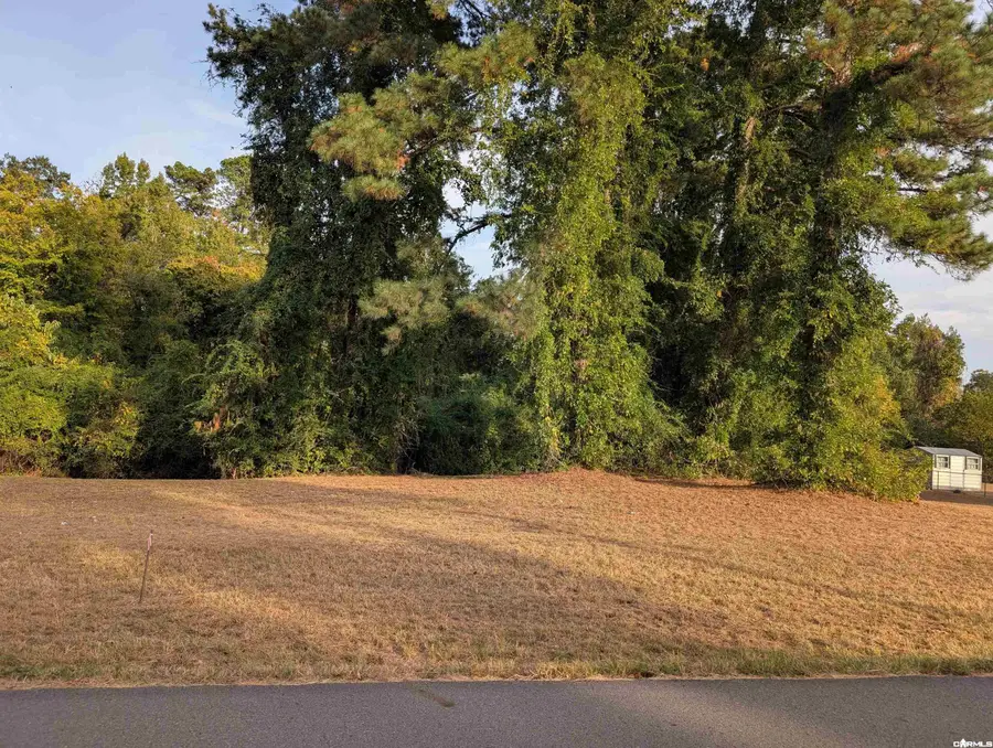 2217 Caddo Street, Arkadelphia, AR 71923 - #3