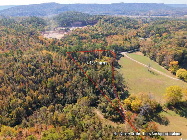 XXX Indian Valley Road, Caddo Gap, AR 71935