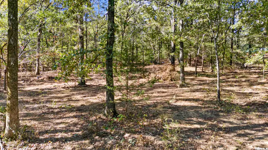 Tract 3 Frog Hop Lane, Morrilton, AR 72110 - #2