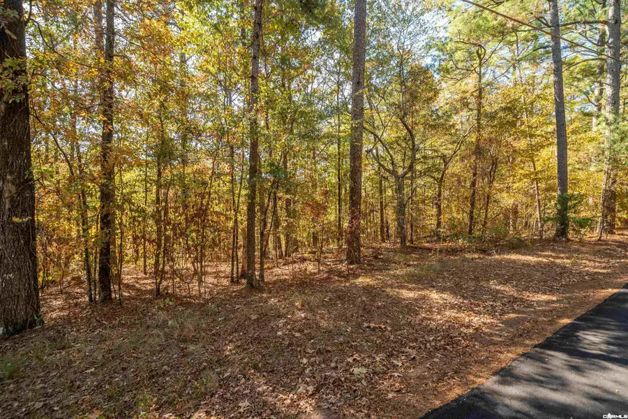 000 Diamond Drive, Hot Springs, AR 71913 - #2
