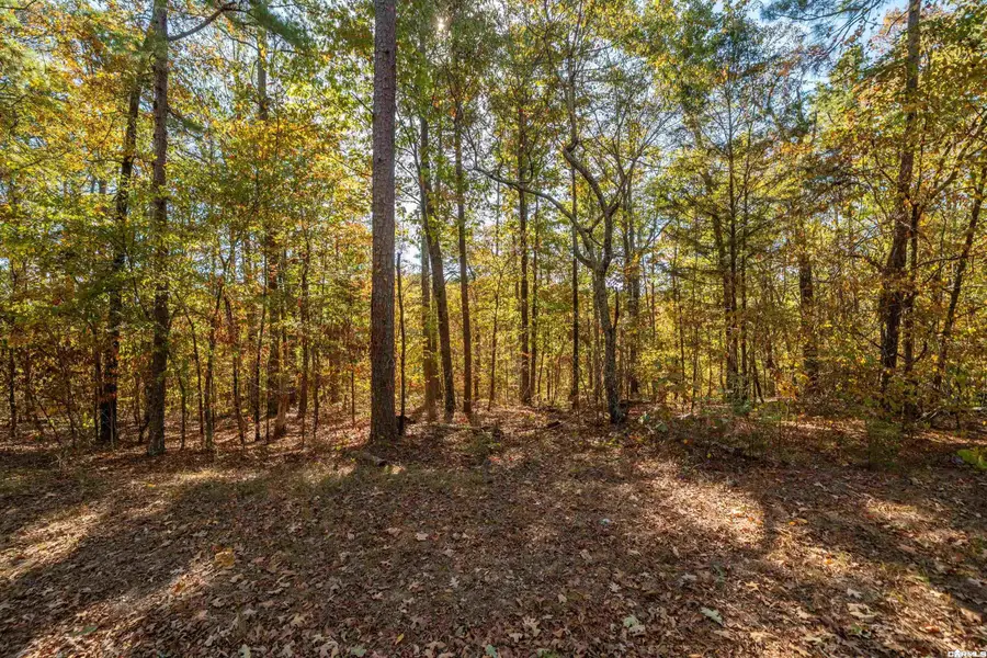 000 Diamond Drive, Hot Springs, AR 71913 - #3