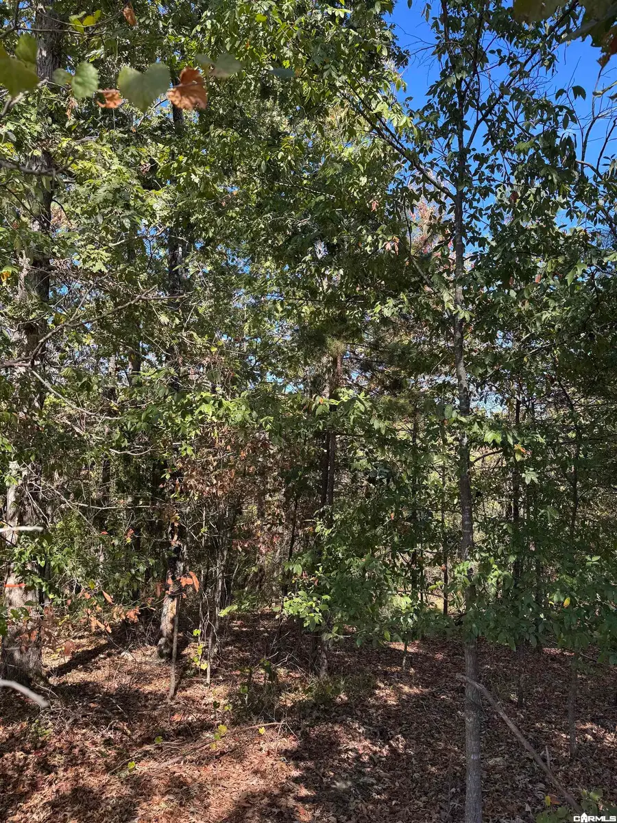 Address Withheld By Seller, Hot Springs, AR 71913 - #2