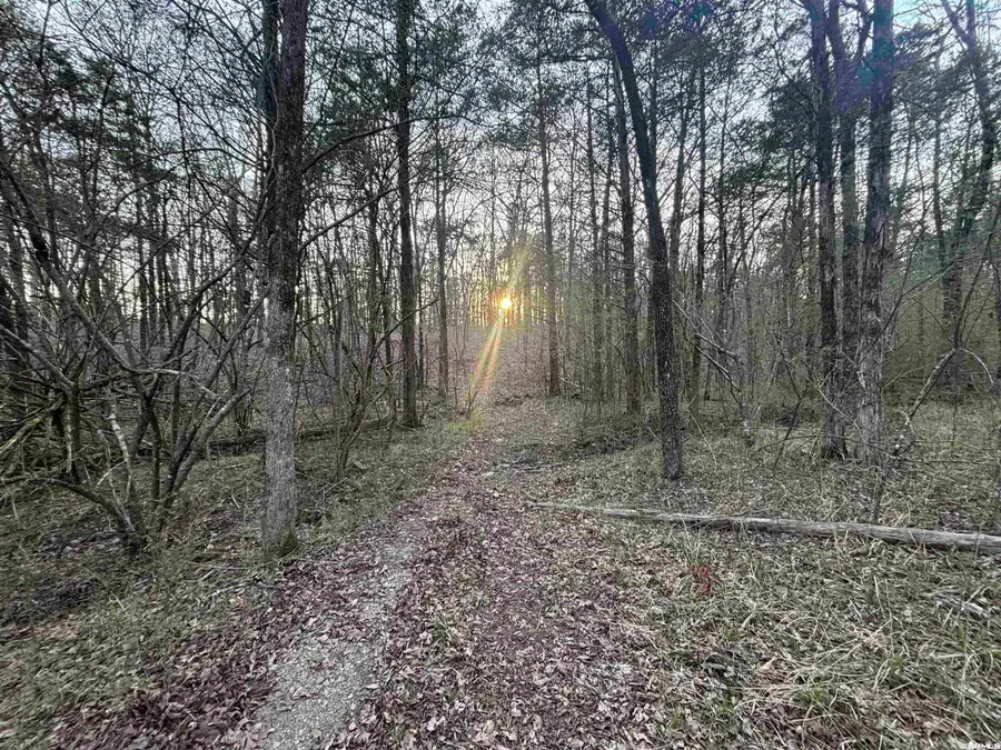 00 Countryside Dr, Quitman, AR 72131 - #3