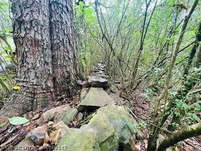 1912 Johnson Street, Ozark, AR 72949 - Image #3