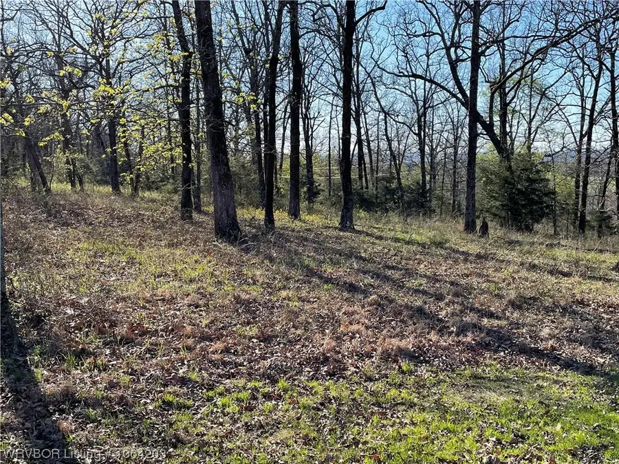TBD Pine Cliff Drive, Van Buren, AR 72956 - Image #2