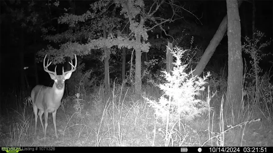 Tract 3 SE 179th, Wilburton, OK 74578 - Image #2