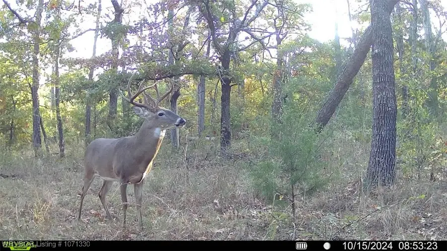 Tract 6 SE 179th, Wilburton, OK 74578 - Image #2