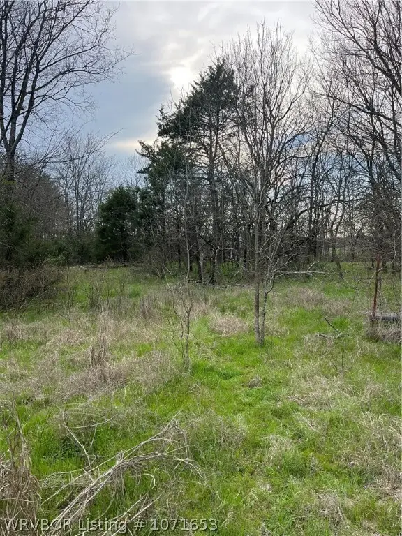 TBD Murrell Loop, Moyers, OK 74557 - Image #1