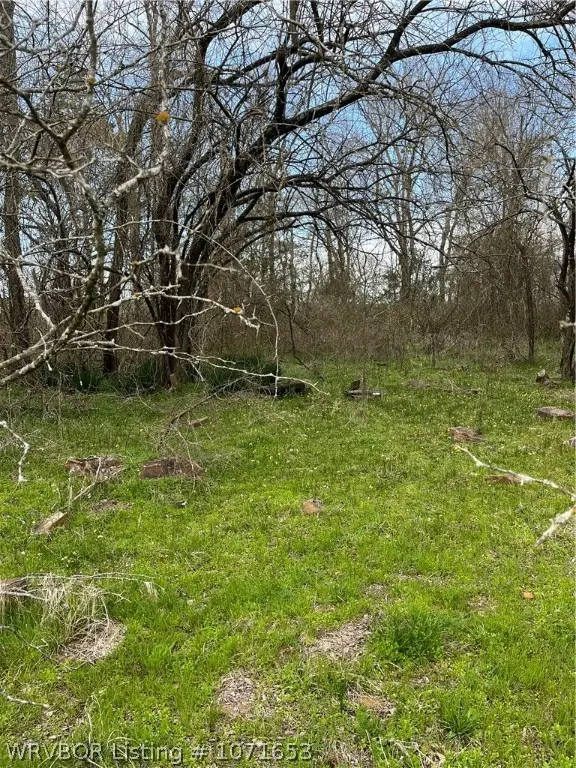 TBD Murrell Loop, Moyers, OK 74557 - Image #3