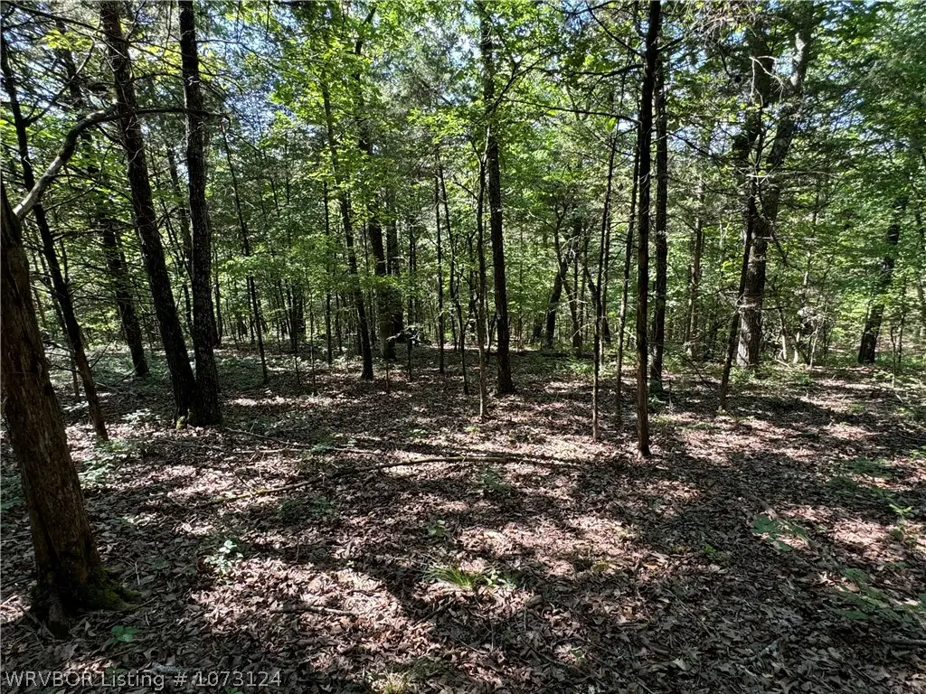 0000 Summer Loop, Cedarville, AR 72932 - Image #1