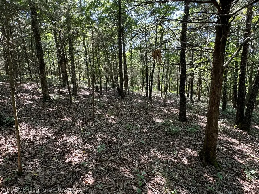 0000 Summer Loop, Cedarville, AR 72932 - Image #2