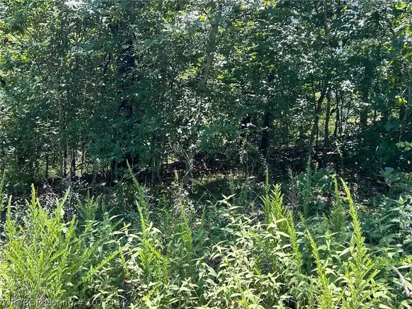 TBD Rocky Road, Park Hill, OK 74451