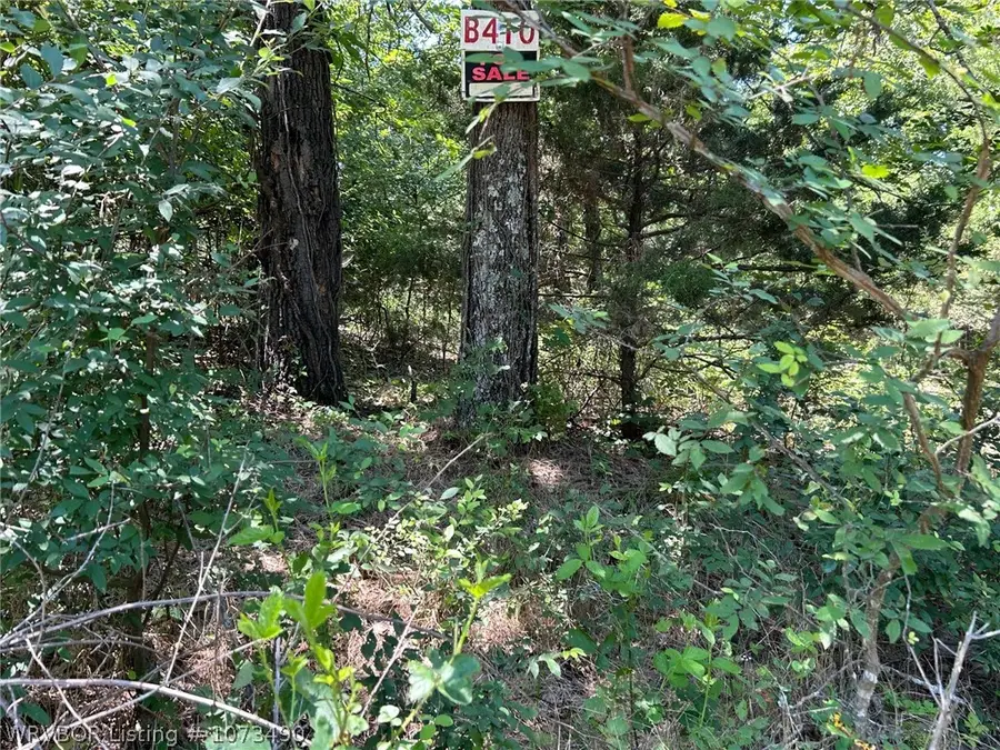 TBD Timber Road, South Cherokee, OK 74451 - #2
