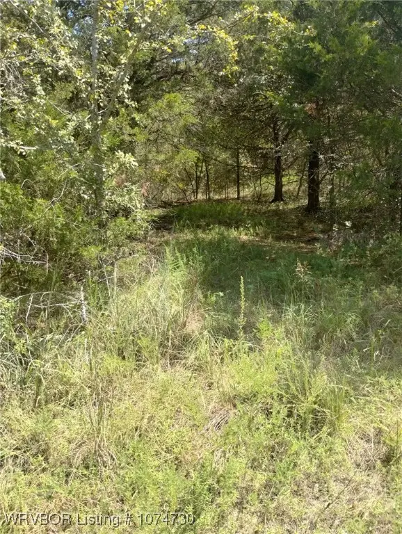 677 Lakeview Tr, Quinton, OK 74561